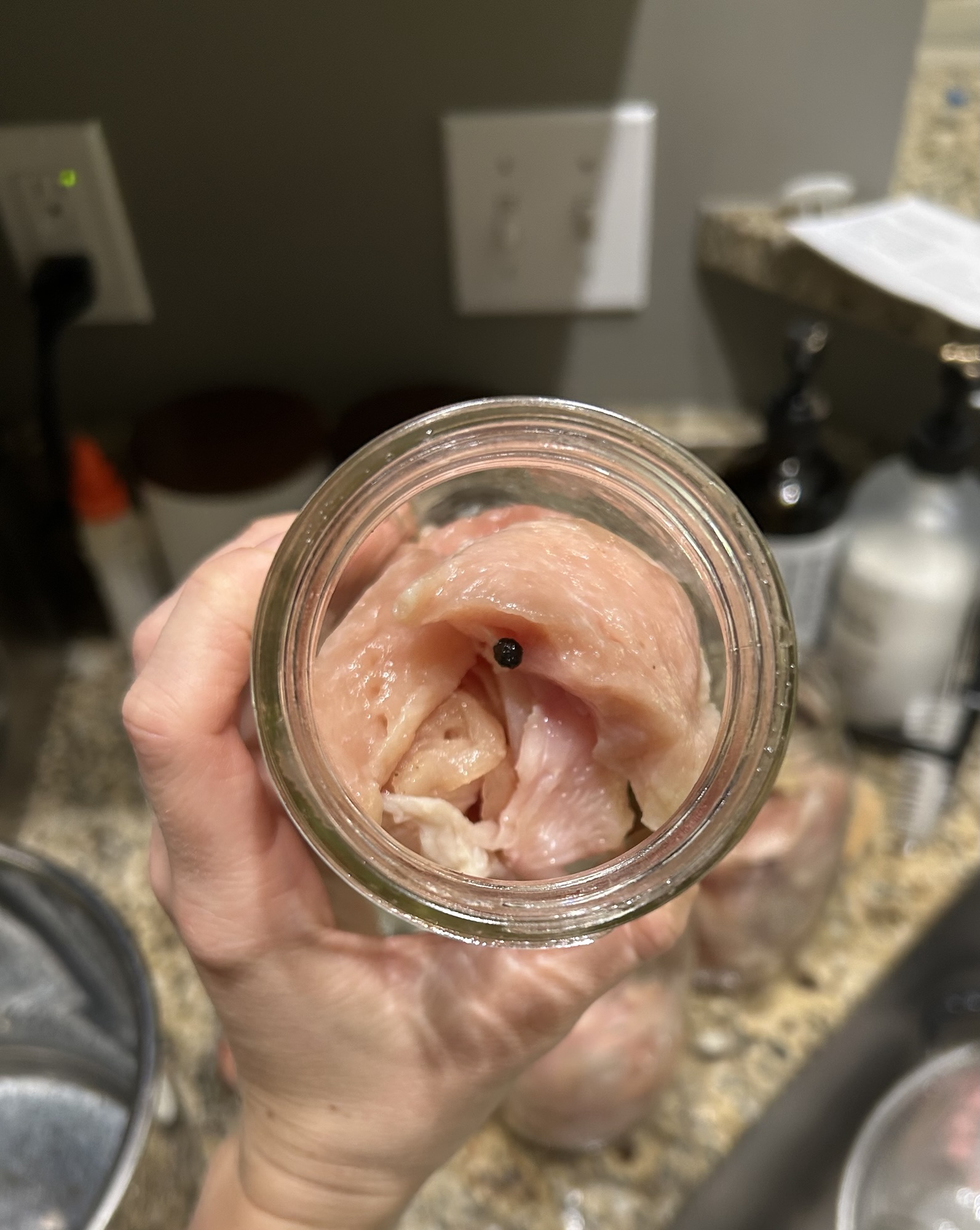 Instant Pot Chicken and Beef Canning Guide