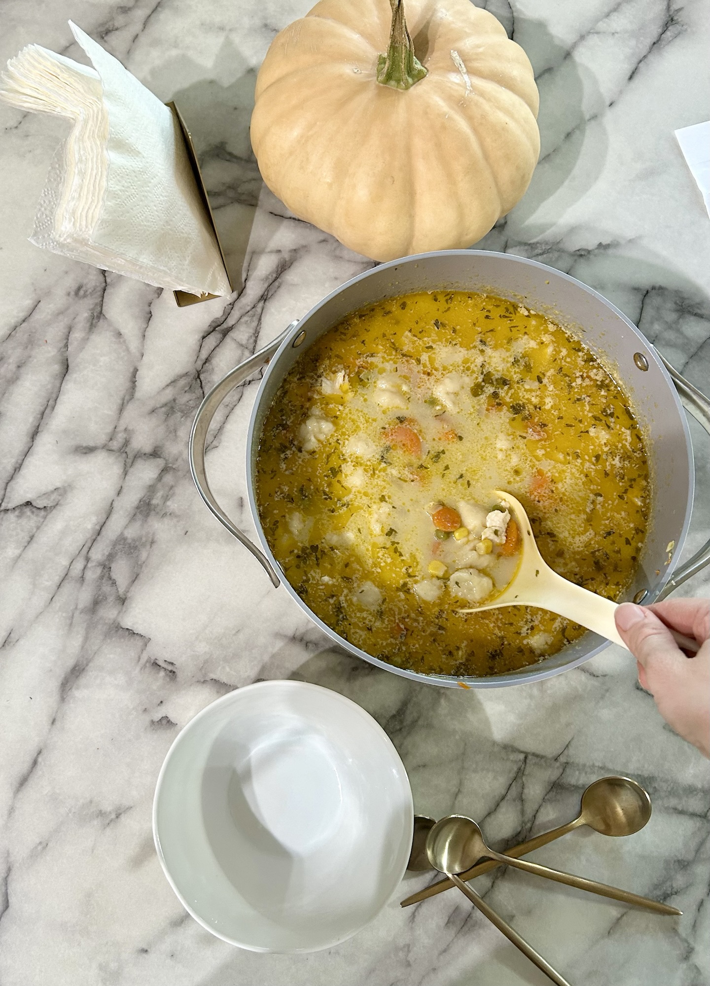 Hearty Chicken and Dumpling Soup Recipe